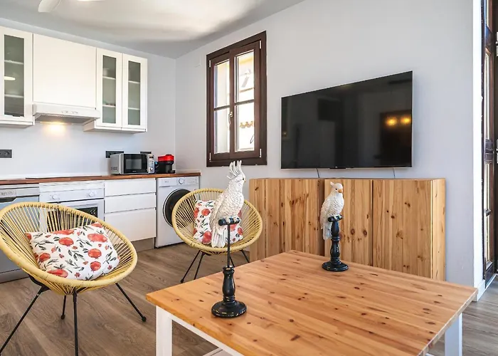 Apartamento Doña Elvira. Terrazas *